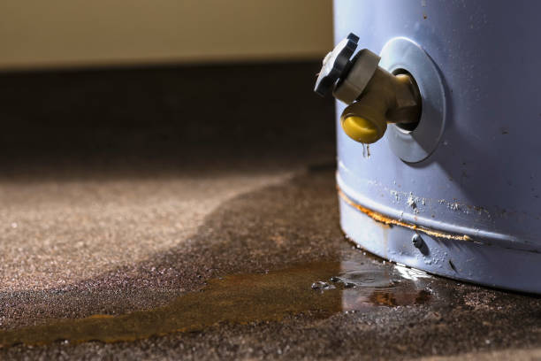 Best Flood damage cleanup  in Liberty Lake, WA