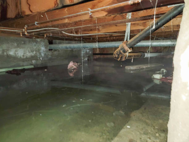 Best Water damage cleanup near me  in Liberty Lake, WA