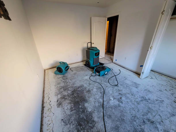 Carpet water damage restoration in WA