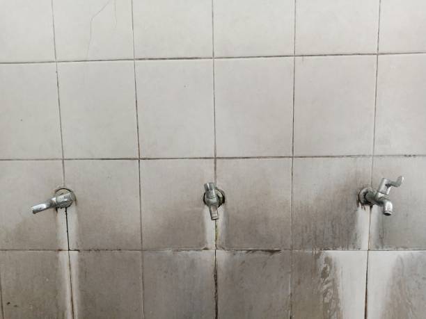 Best Residential water damage restoration  in Liberty Lake, WA