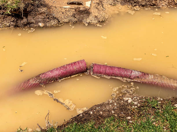Reliable WA Water damage restoration Solutions