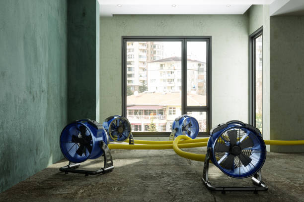 Best Commercial water damage restoration  in Liberty Lake, WA